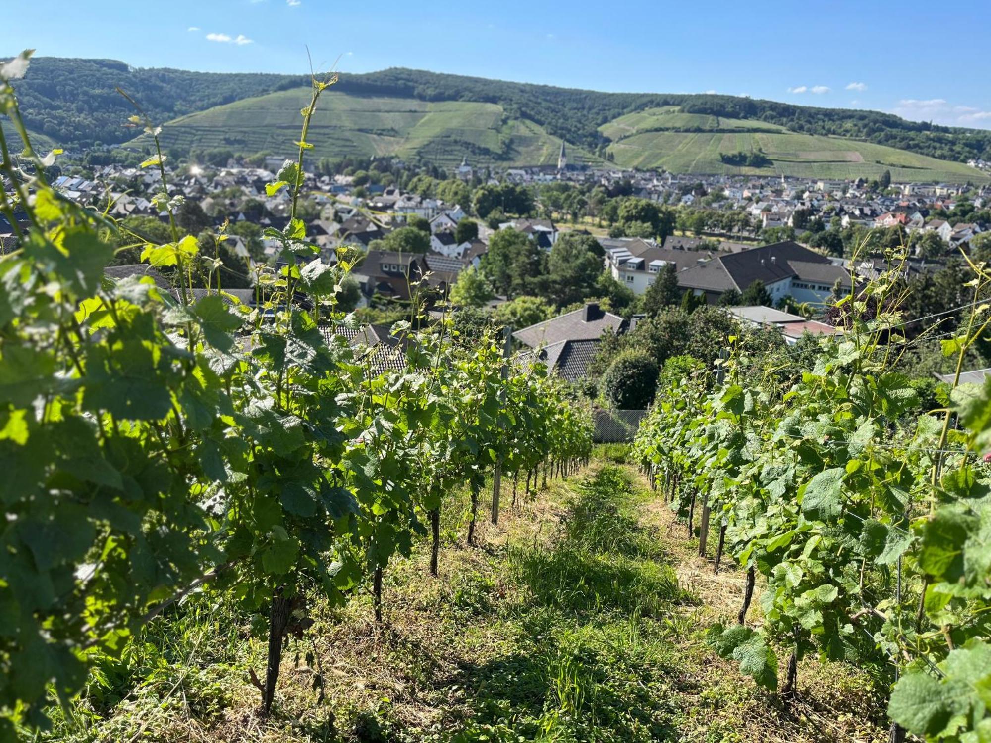Ferienhaus Mausberg Bad Neuenahr-Ahrweiler Εξωτερικό φωτογραφία